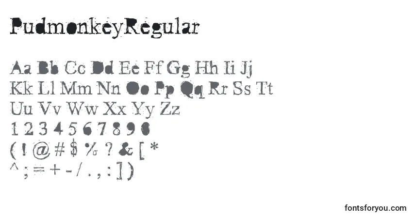 A fonte PudmonkeyRegular – alfabeto, números, caracteres especiais