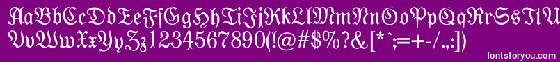 Moderne Font – White Fonts on Purple Background