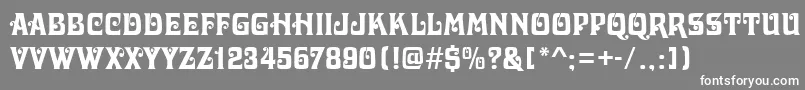 フォントDelawareRegular – 灰色の背景に白い文字