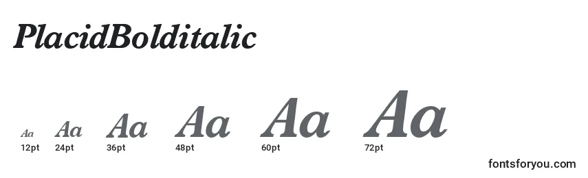 PlacidBolditalic Font Sizes