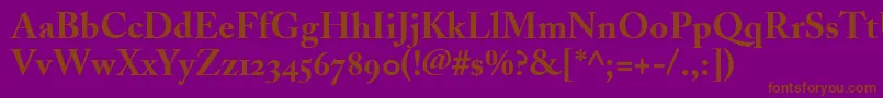 AdobeCaslonBoldOldstyleFigures Font – Brown Fonts on Purple Background