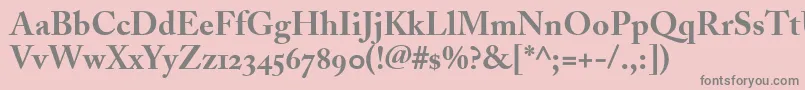 フォントAdobeCaslonBoldOldstyleFigures – ピンクの背景に灰色の文字