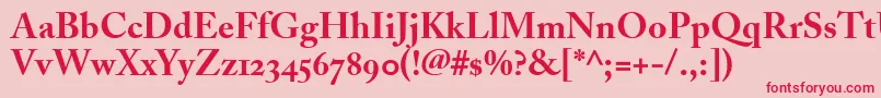 AdobeCaslonBoldOldstyleFigures Font – Red Fonts on Pink Background