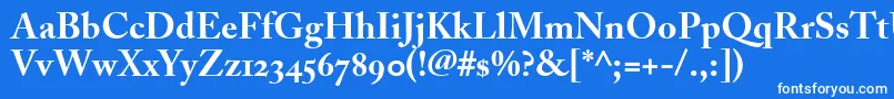 AdobeCaslonBoldOldstyleFigures Font – White Fonts on Blue Background