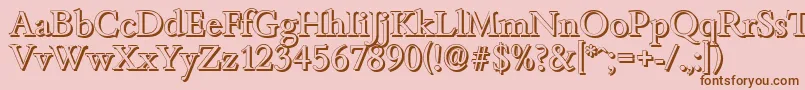 BambergshadowRegular Font – Brown Fonts on Pink Background