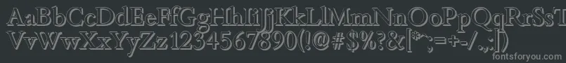 BambergshadowRegular Font – Gray Fonts on Black Background