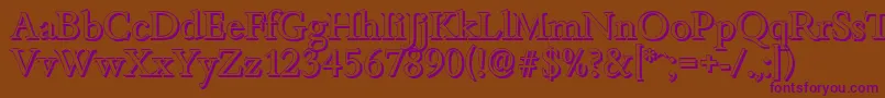 BambergshadowRegular Font – Purple Fonts on Brown Background