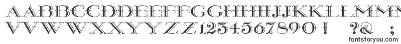Montereywide Font – Fonts for Adobe Illustrator