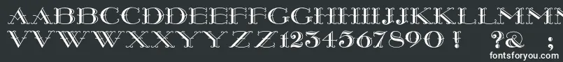 Montereywide Font – White Fonts on Black Background