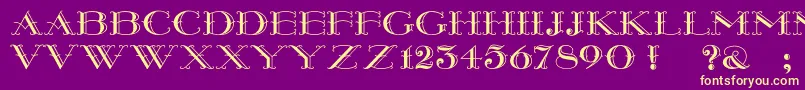 Montereywide Font – Yellow Fonts on Purple Background