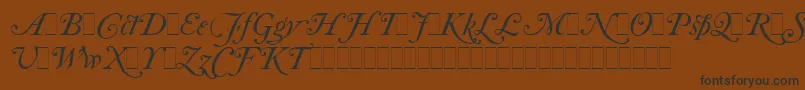 フォントCaslonItalicSwashesLetPlain.1.0 – 黒い文字が茶色の背景にあります