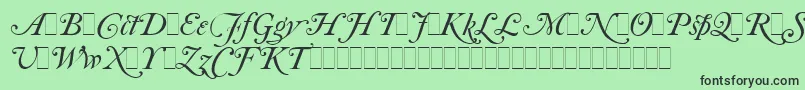 fuente CaslonItalicSwashesLetPlain.1.0 – Fuentes Negras Sobre Fondo Verde