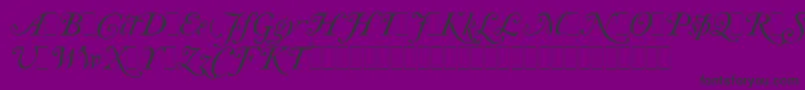 Czcionka CaslonItalicSwashesLetPlain.1.0 – czarne czcionki na fioletowym tle