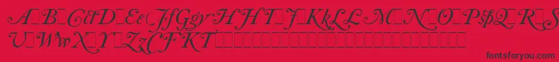 Шрифт CaslonItalicSwashesLetPlain.1.0 – чёрные шрифты на красном фоне