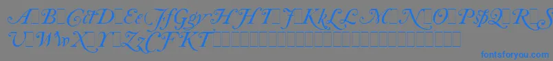 Шрифт CaslonItalicSwashesLetPlain.1.0 – синие шрифты на сером фоне