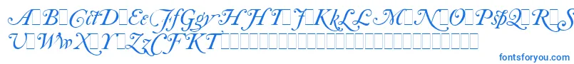 Czcionka CaslonItalicSwashesLetPlain.1.0 – niebieskie czcionki