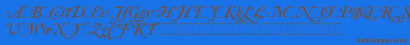 CaslonItalicSwashesLetPlain.1.0 Font – Brown Fonts on Blue Background