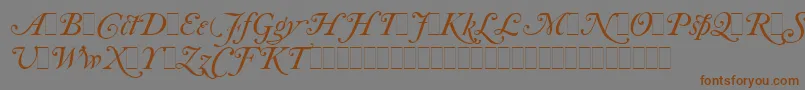 CaslonItalicSwashesLetPlain.1.0-fontti – ruskeat fontit harmaalla taustalla