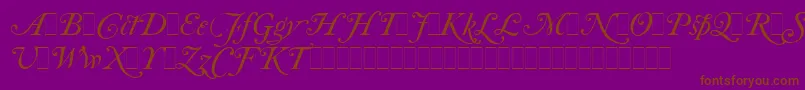 CaslonItalicSwashesLetPlain.1.0-Schriftart – Braune Schriften auf violettem Hintergrund