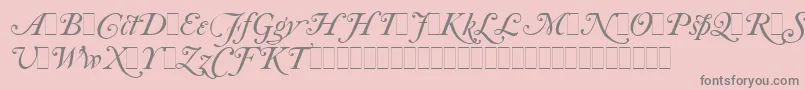 Fonte CaslonItalicSwashesLetPlain.1.0 – fontes cinzas em um fundo rosa