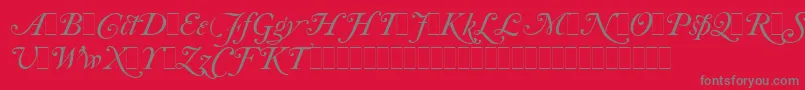 CaslonItalicSwashesLetPlain.1.0-Schriftart – Graue Schriften auf rotem Hintergrund