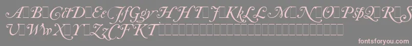 CaslonItalicSwashesLetPlain.1.0 Font – Pink Fonts on Gray Background