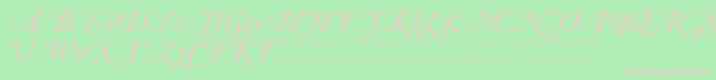 CaslonItalicSwashesLetPlain.1.0 Font – Pink Fonts on Green Background