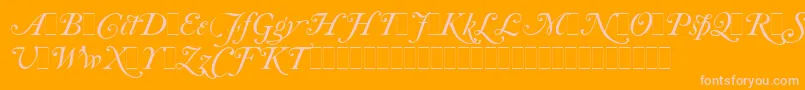 Fonte CaslonItalicSwashesLetPlain.1.0 – fontes rosa em um fundo laranja