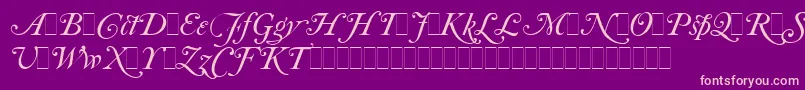 CaslonItalicSwashesLetPlain.1.0 Font – Pink Fonts on Purple Background