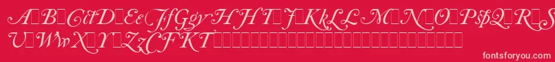 CaslonItalicSwashesLetPlain.1.0 Font – Pink Fonts on Red Background