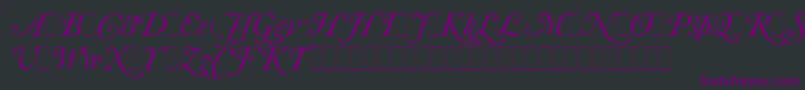 CaslonItalicSwashesLetPlain.1.0-Schriftart – Violette Schriften auf schwarzem Hintergrund