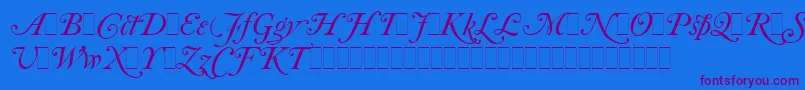 CaslonItalicSwashesLetPlain.1.0-fontti – violetit fontit sinisellä taustalla