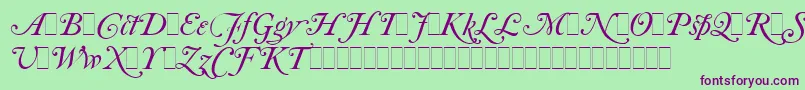 Шрифт CaslonItalicSwashesLetPlain.1.0 – фиолетовые шрифты на зелёном фоне