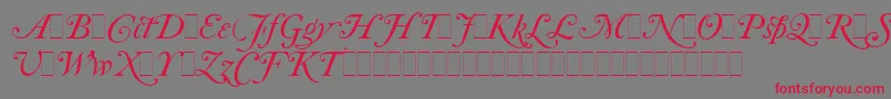 フォントCaslonItalicSwashesLetPlain.1.0 – 赤い文字の灰色の背景