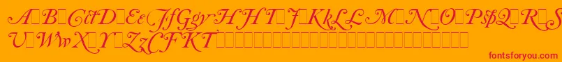 CaslonItalicSwashesLetPlain.1.0 Font – Red Fonts on Orange Background