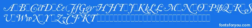 CaslonItalicSwashesLetPlain.1.0-fontti – valkoiset fontit sinisellä taustalla
