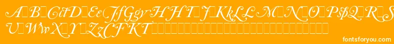 Fonte CaslonItalicSwashesLetPlain.1.0 – fontes brancas em um fundo laranja