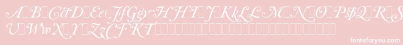 CaslonItalicSwashesLetPlain.1.0-Schriftart – Weiße Schriften auf rosa Hintergrund
