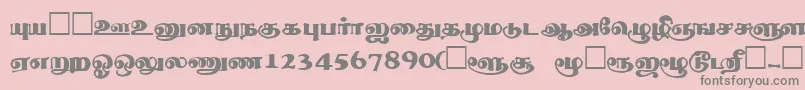 フォントThevakiRegular – ピンクの背景に灰色の文字