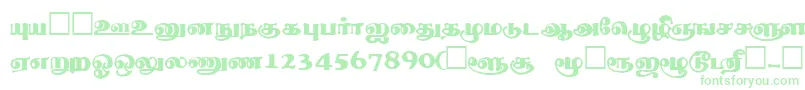 ThevakiRegular-Schriftart – Grüne Schriften auf weißem Hintergrund