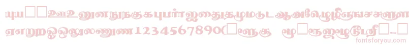 ThevakiRegular-Schriftart – Rosa Schriften