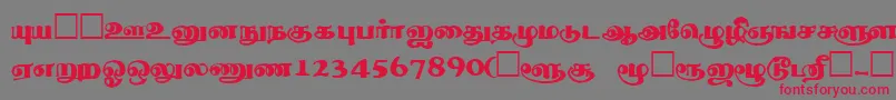 Więcej informacji o czcionce ThevakiRegular Czcionka ThevakiRegular – czerwone czcionki na szarym tle