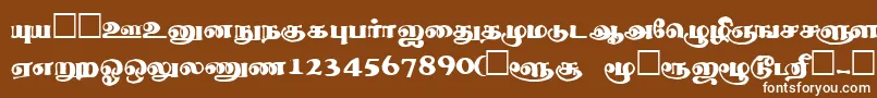 Шрифт ThevakiRegular – белые шрифты на коричневом фоне