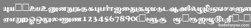 フォントThevakiRegular – 灰色の背景に白い文字