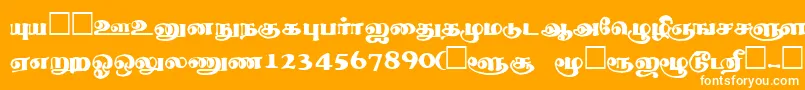 Шрифт ThevakiRegular – белые шрифты на оранжевом фоне