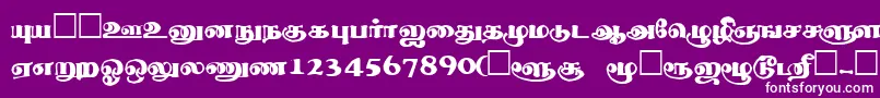 フォントThevakiRegular – 紫の背景に白い文字