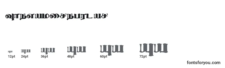 Größen der Schriftart ThevakiRegular