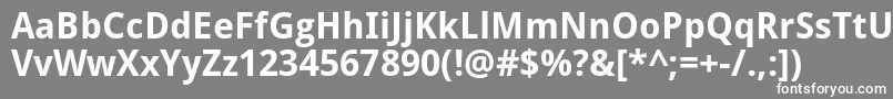 DroidSansBold Font – White Fonts on Gray Background