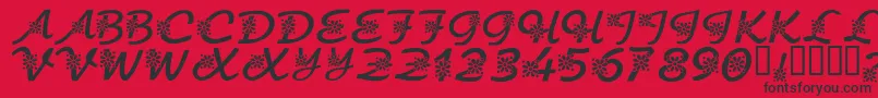 フォントKrFloralScript – 赤い背景に黒い文字