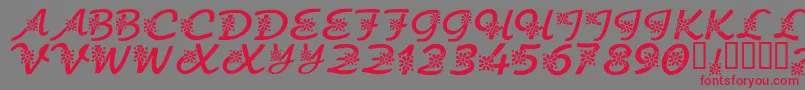 KrFloralScript Font – Red Fonts on Gray Background